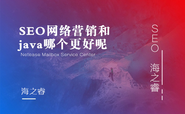SEO網絡營銷和java哪個更好呢